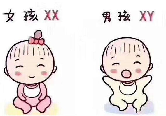 深圳代生男孩_深圳代生男孩:选择代生男孩的正确方式